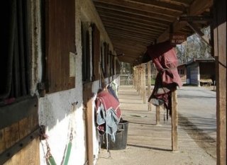  Equestrian center near Guerande 